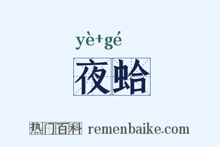 夜蛤是什么意思的图片